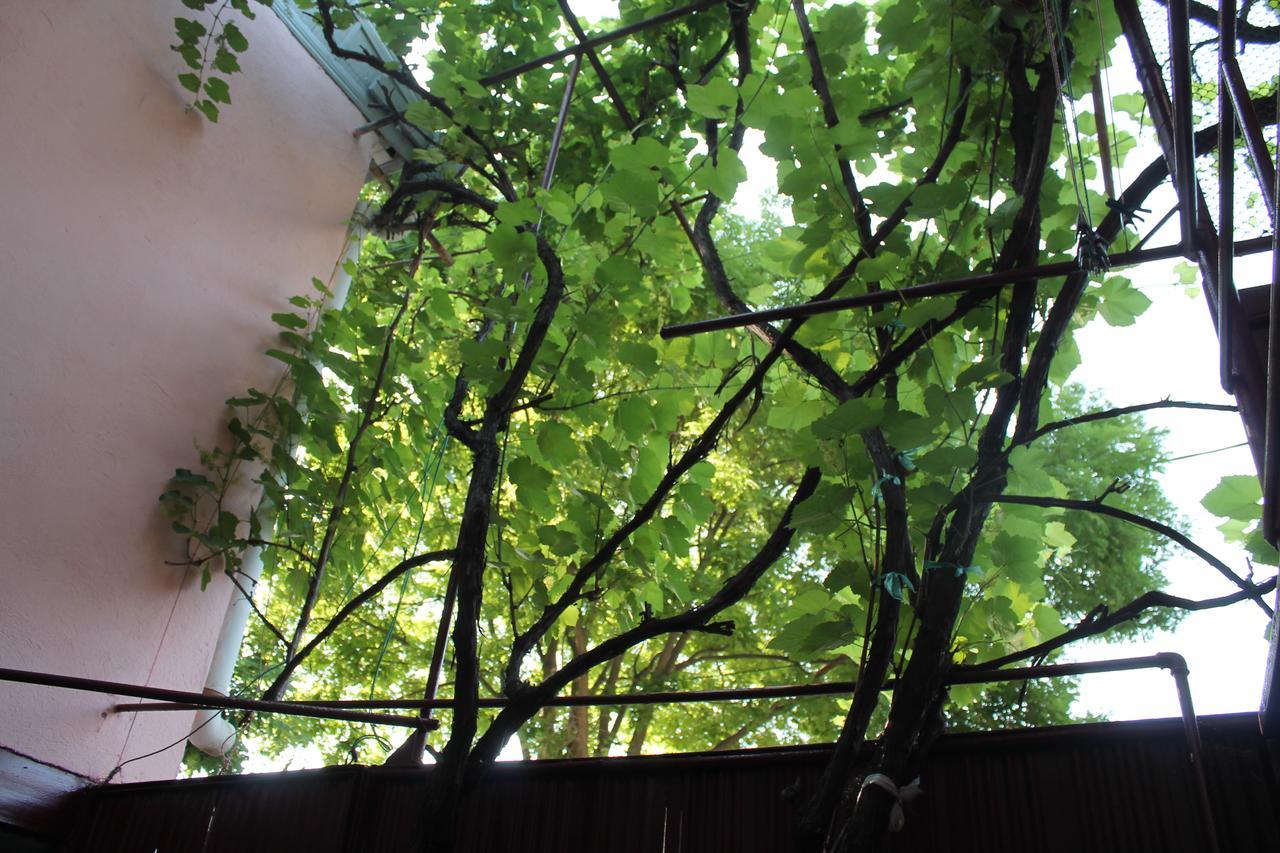 Hostel Old City Sololaki Tbilisi Exterior foto